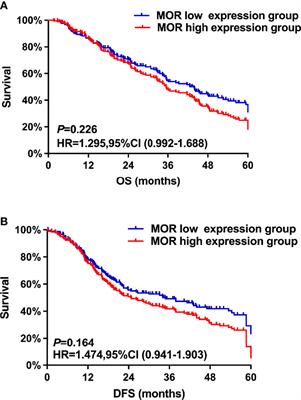 Association of Mu-Opioid Receptor Expression With Long-Term Survival and Perineural Nerve Invasion in Patients Undergoing Surgery for Ovarian Cancer